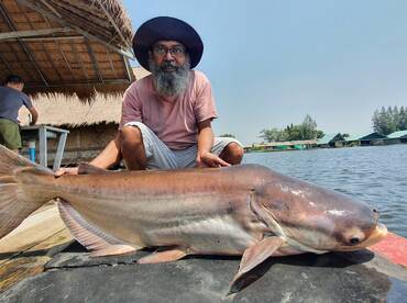 Big catfish