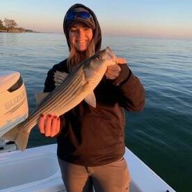 Dameron Report Photo 1