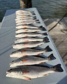 Dont Miss Out On This Bite!