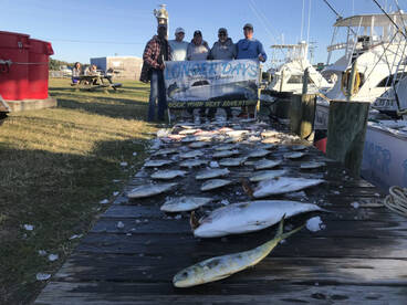 9 October 2022 Fishing Report.