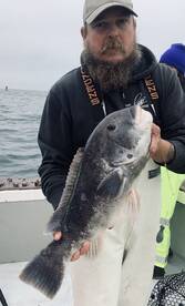Narragansett Report Photo 1