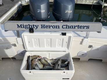 3 different species totaling 52 keepers