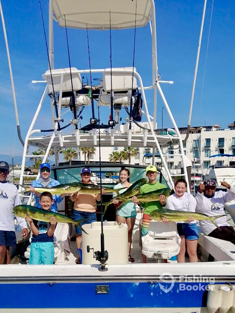 San Jose del Cabo Report Photo 0