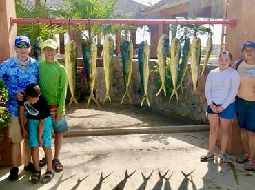 San Jose del Cabo Report Photo 2