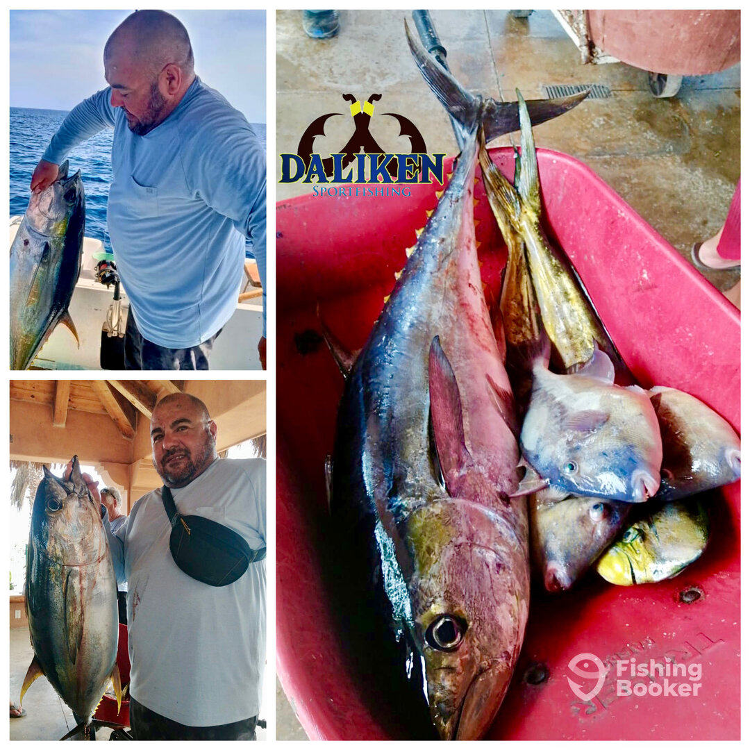 San Jose del Cabo Report Photo 0