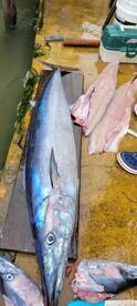 Roatan Report Photo 2
