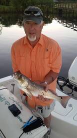 Port Orange Report Photo 1