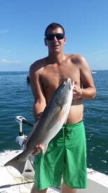 Port Orange Report Photo 2
