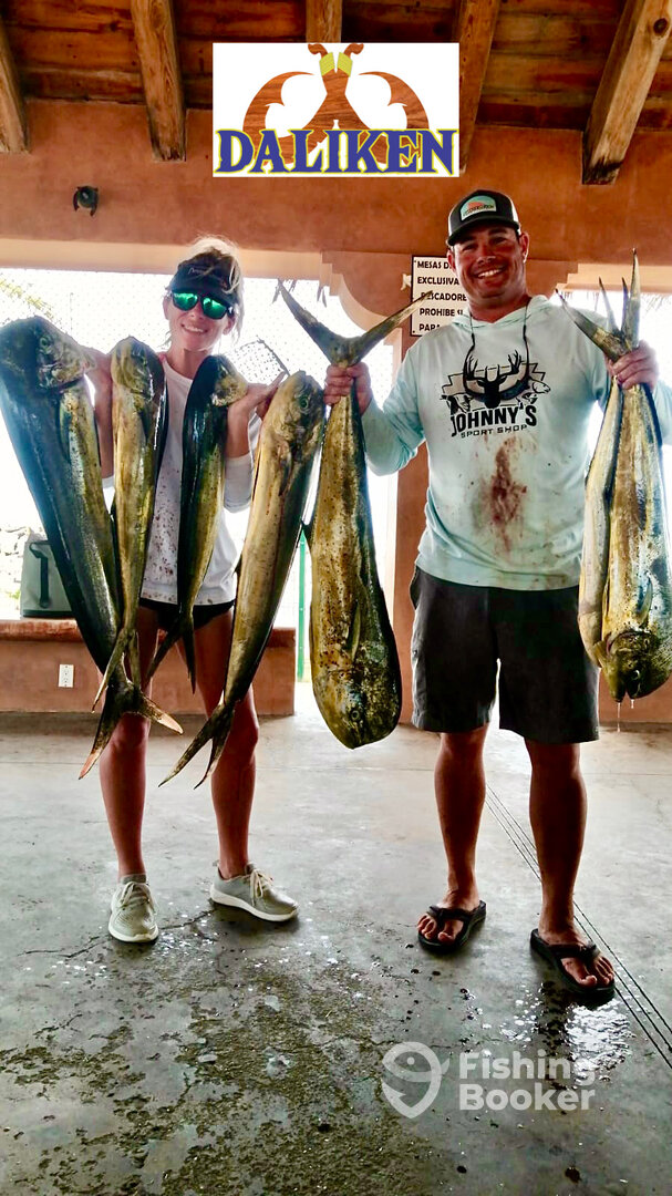 San Jose del Cabo Report Photo 0