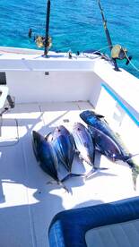 Le Morne Report Photo 1
