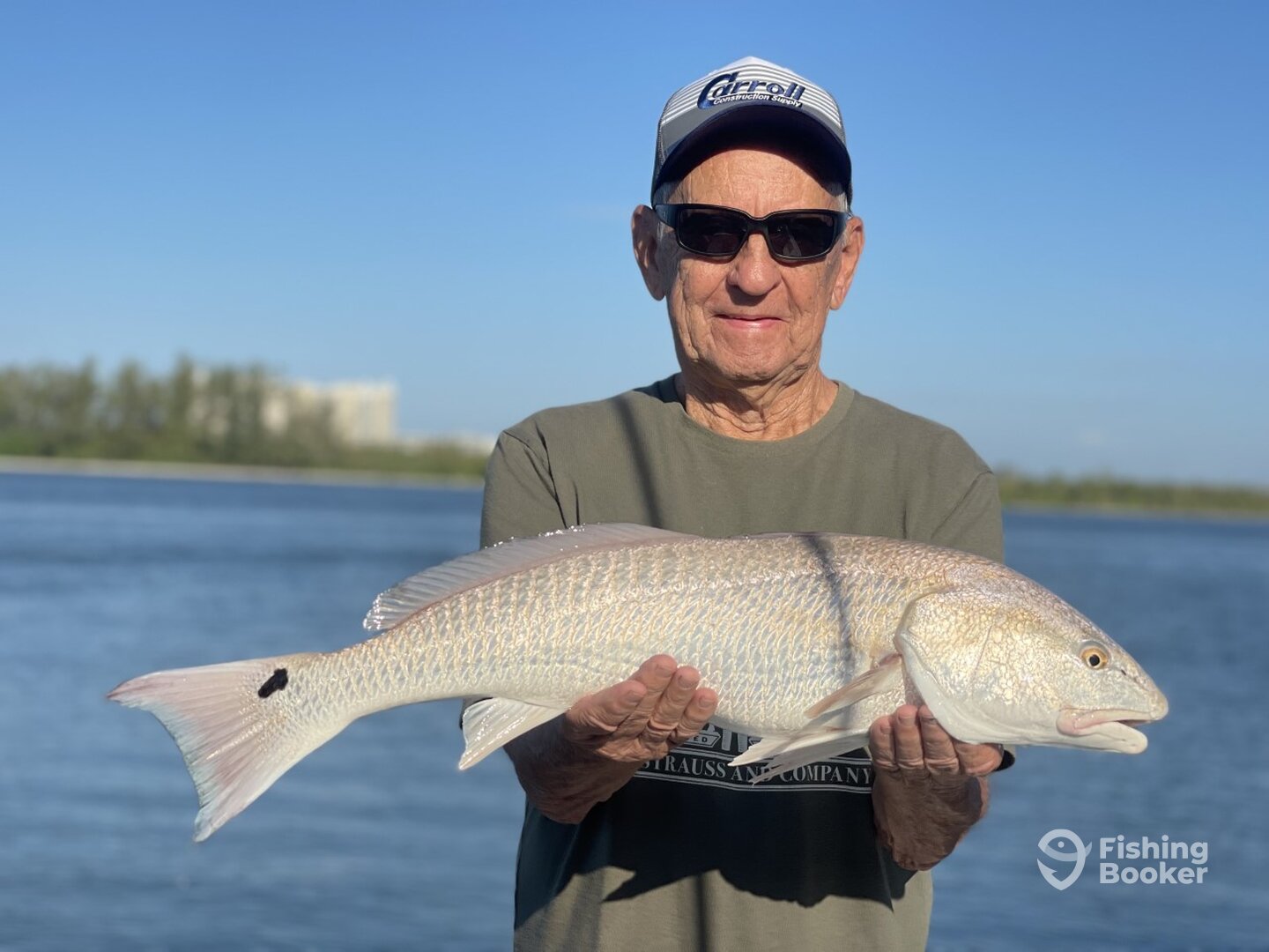 Sarasota Report Photo 0