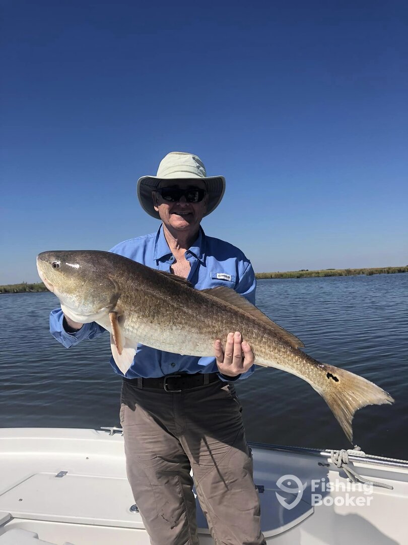 Barataria Report Photo 0