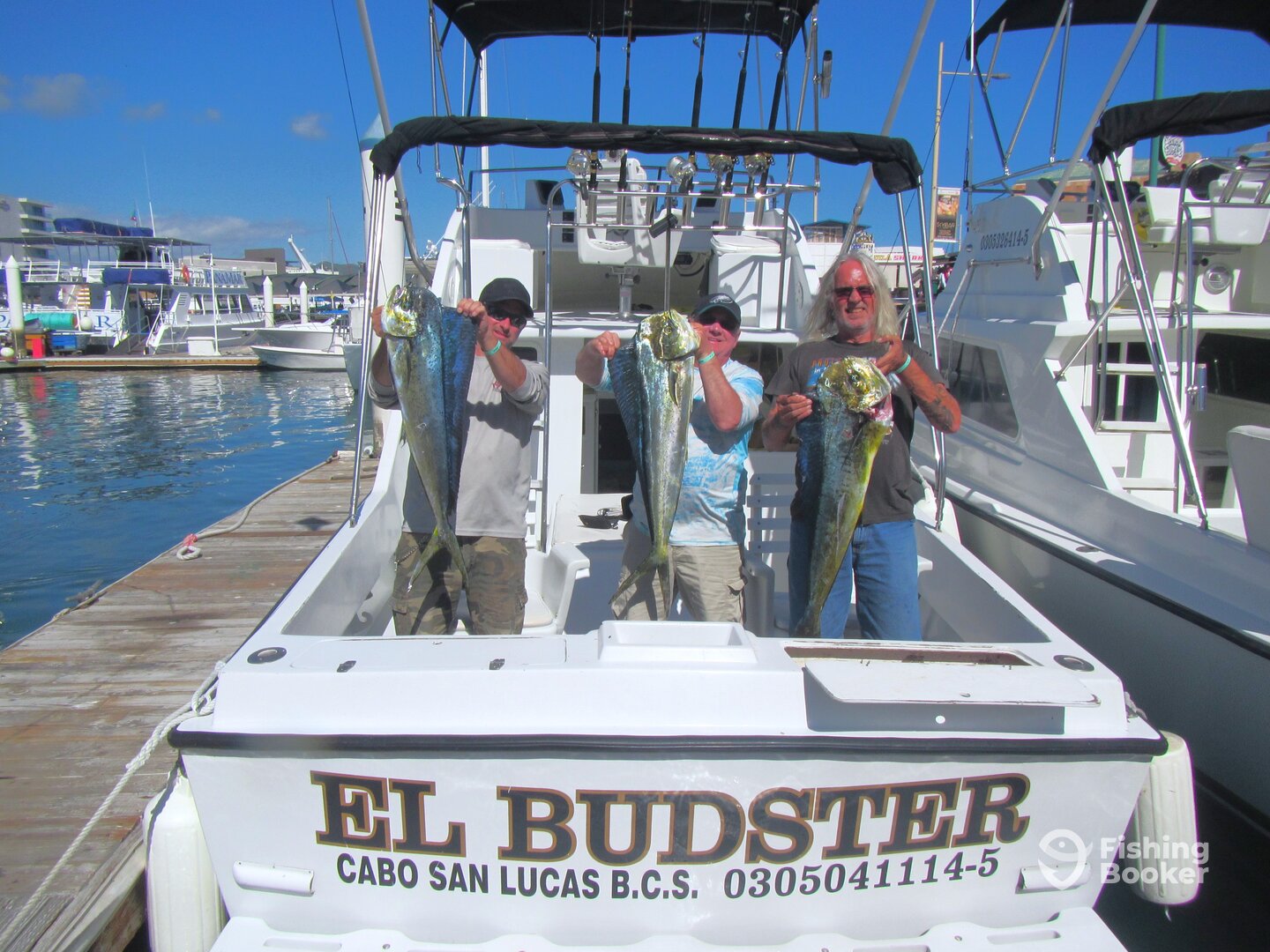 Cabo San Lucas Report Photo 0