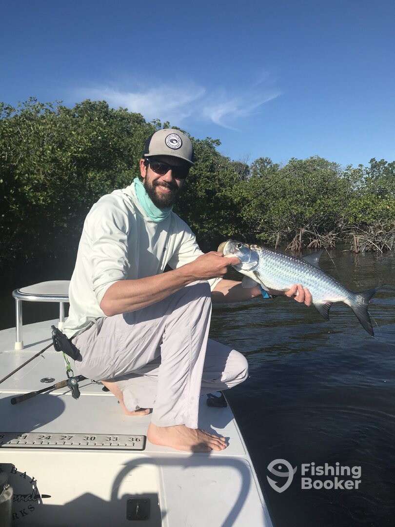 Tarpon on fly