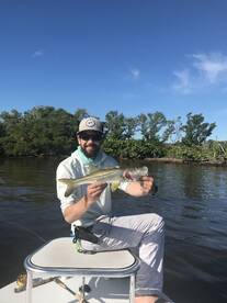 Snook on fly