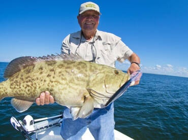GAG GROUPER FRENZY
