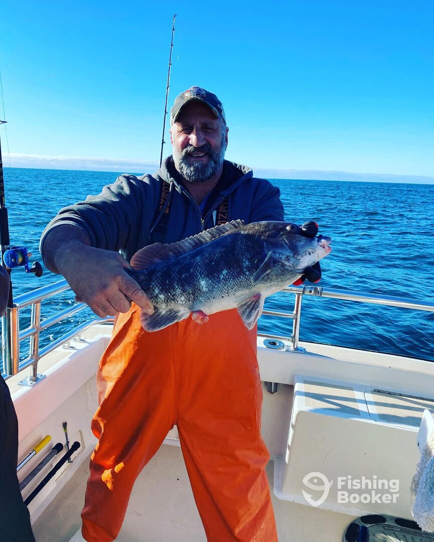 Montauk Report Photo 0