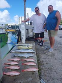 Dania Beach Report Photo 1