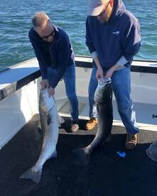Point Pleasant Report Photo 2