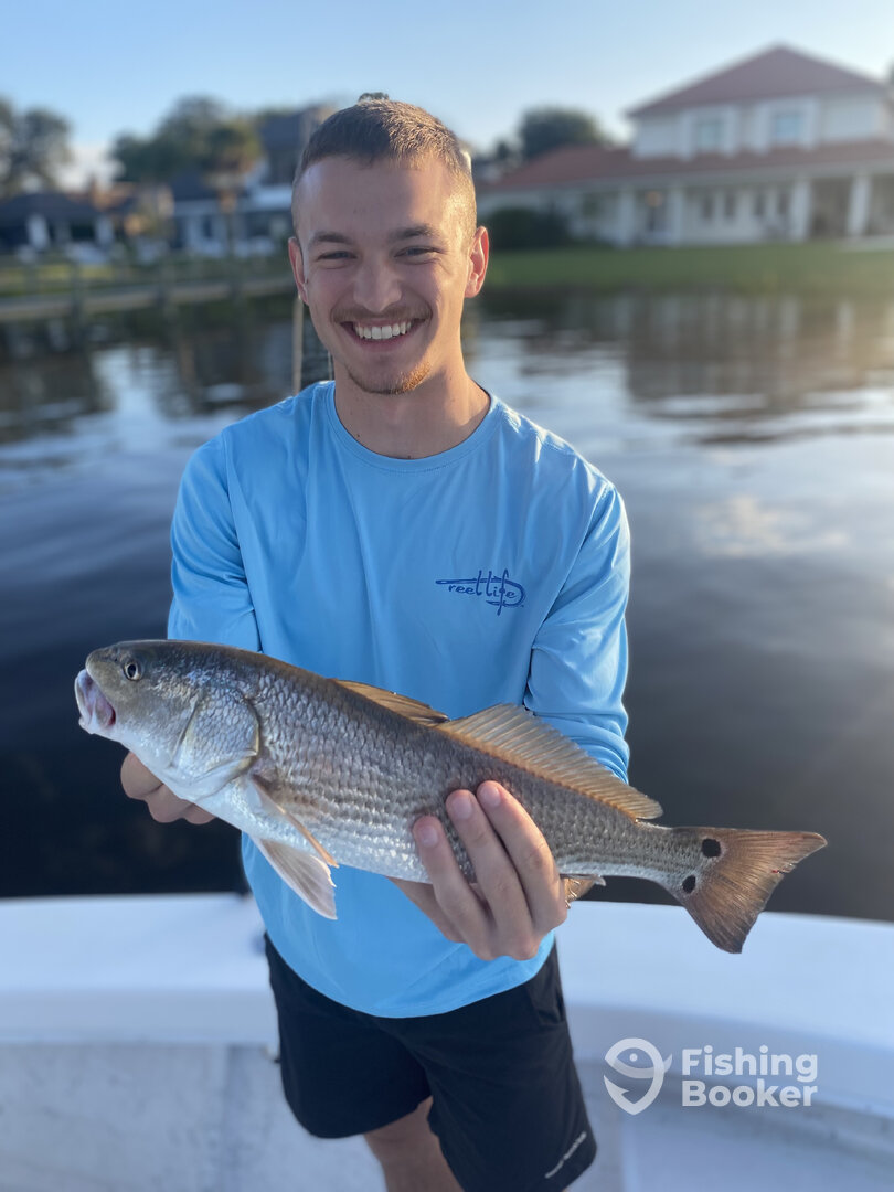 Port Orange Report Photo 0