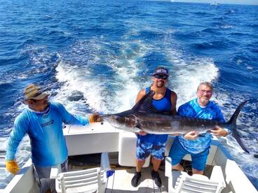 Cabo San Lucas Report Photo 1