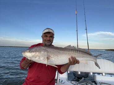 Bull reds are still here 