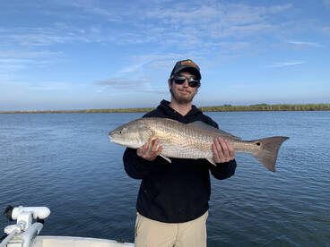 Mandeville Report Photo 1