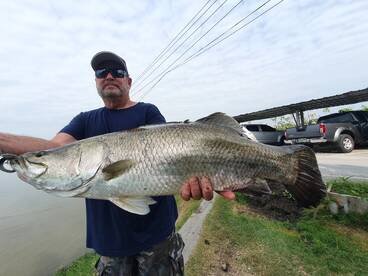Barramundi