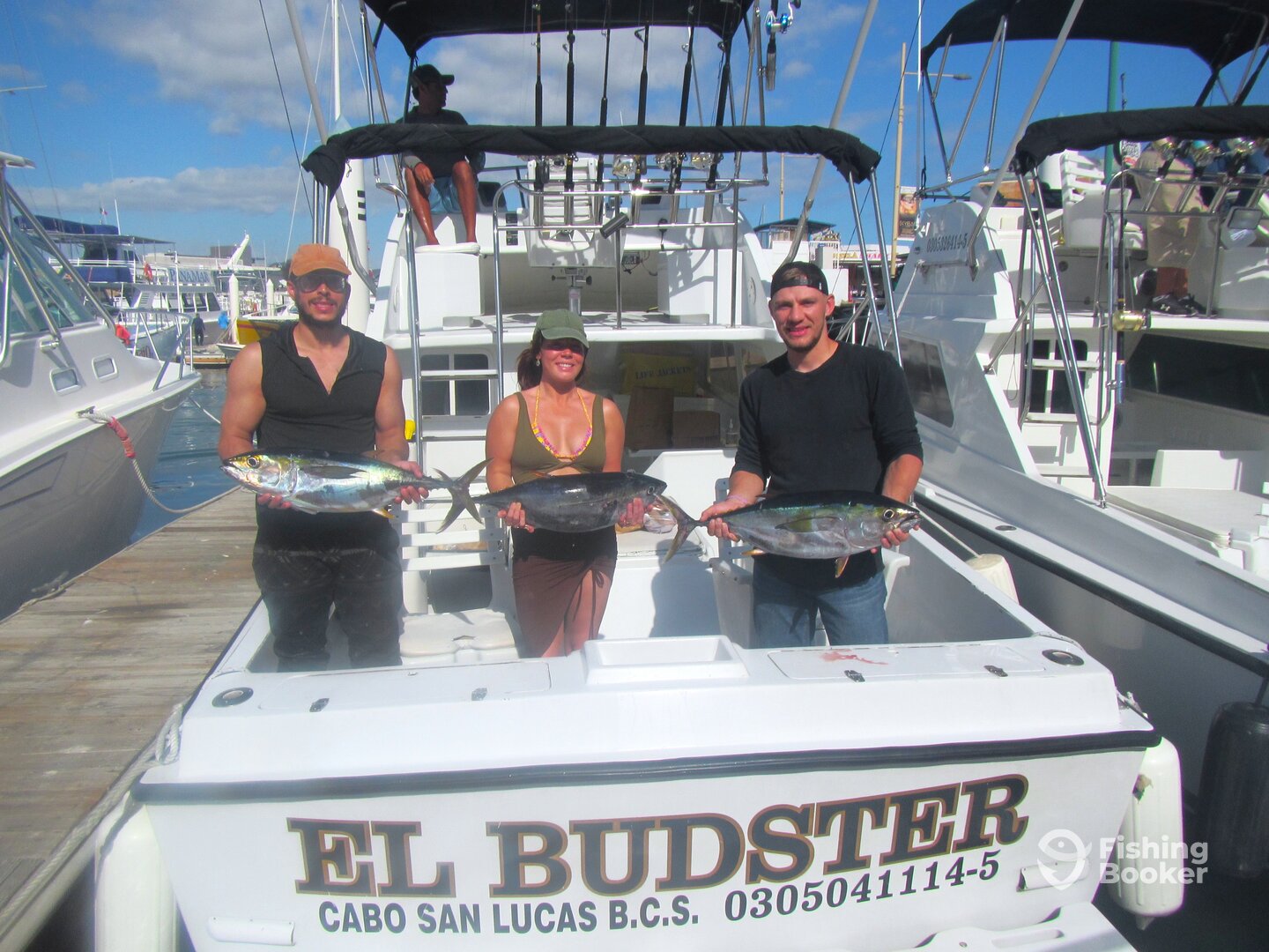 Cabo San Lucas Report Photo 0