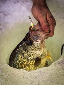 Ice fishing trips coming soon!