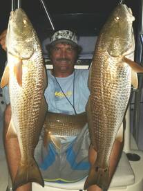 Tampa Bay St.Petersburg Florida Redfish 