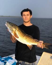 Jacksonville Report Photo 2