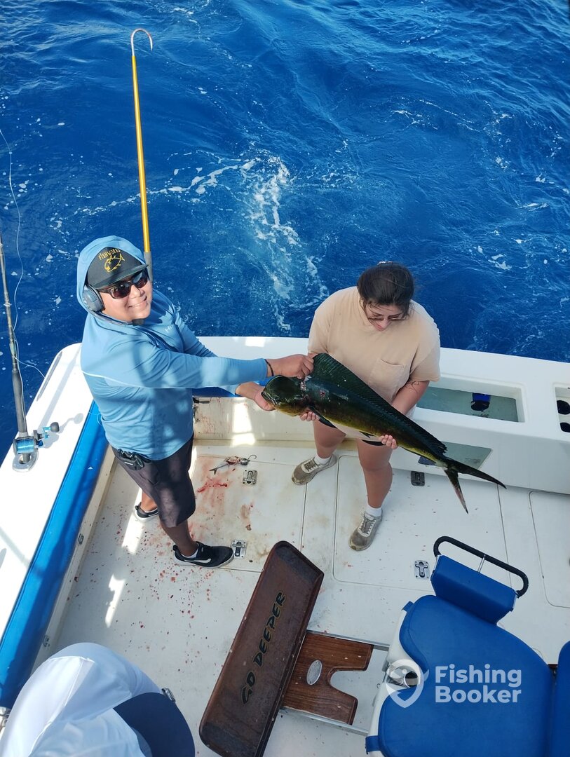 Cabo San Lucas Report Photo 0