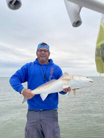 Speckled Trout and Redfish and Bulls