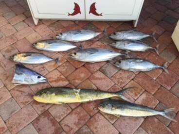 Islamorada Report Photo 1