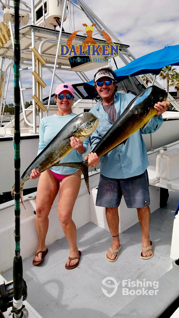 San Jose del Cabo Report Photo 0