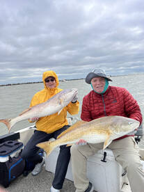 Galveston Report Photo 1