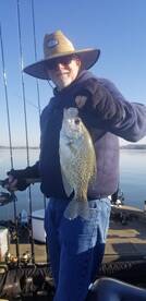 Harrison Report Photo 1