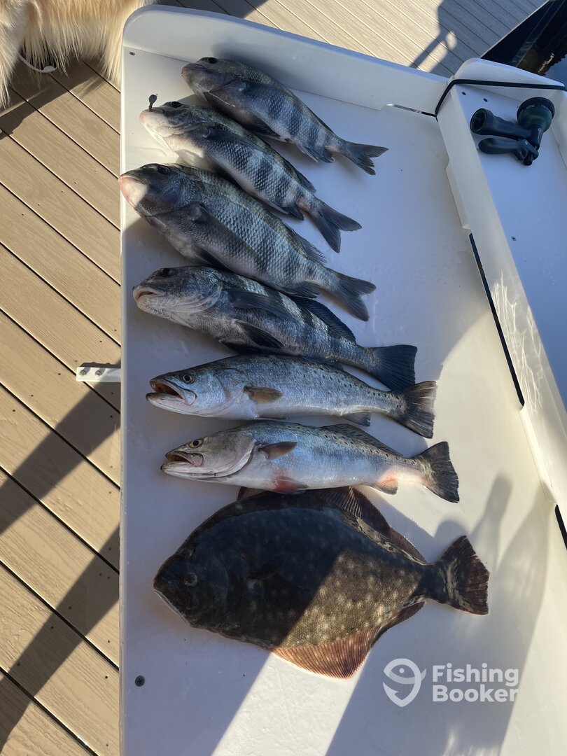 Mixed bag