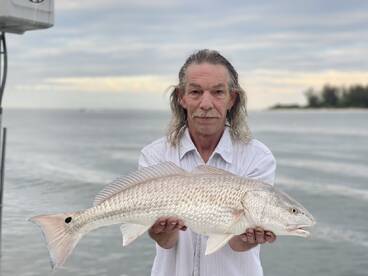 Sarasota Report Photo 2