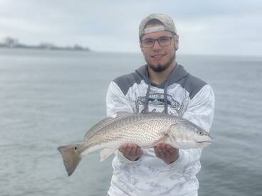 Sarasota Report Photo 2