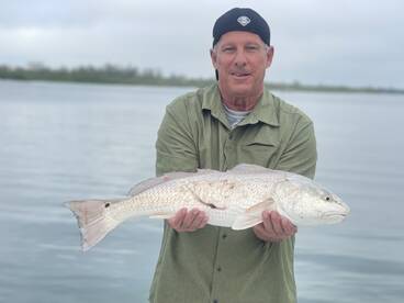 Sarasota Report Photo 1