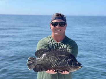 Sarasota Report Photo 2