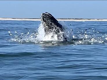 Somers Point Report Photo 1