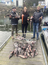 Offshore fish
