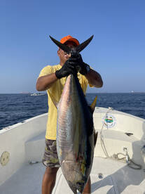 Fujairah Report Photo 1
