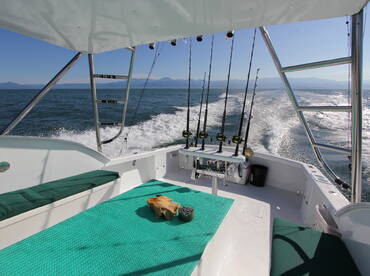 Quepos Report Photo 1