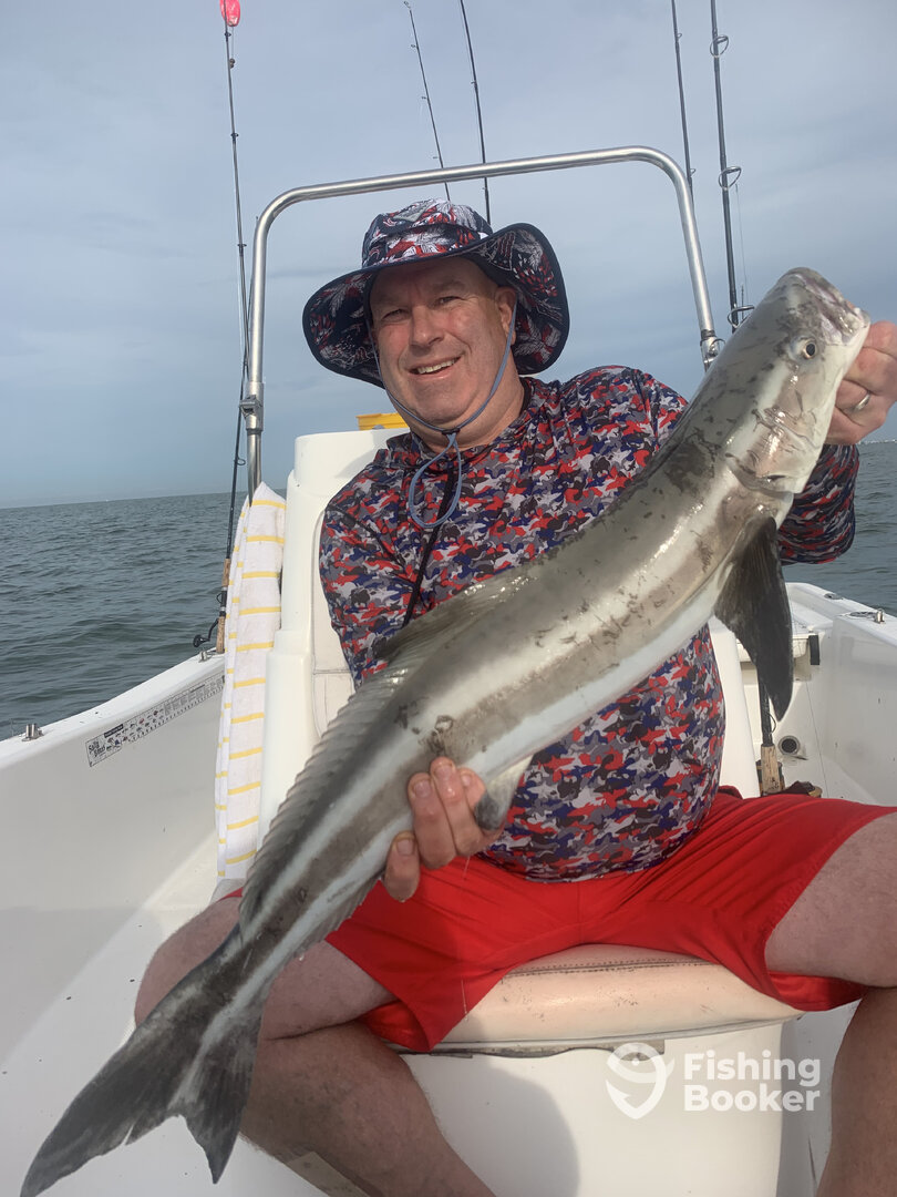 Sarasota Report Photo 0