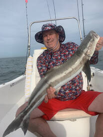 Mid Novemner remains strong