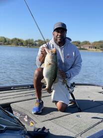 Big ones are on the feed!